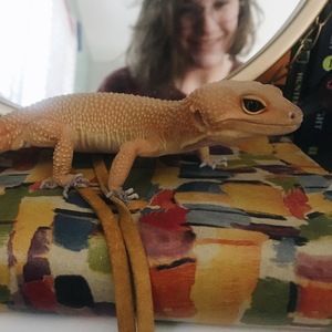 Meet your Posher, Eve